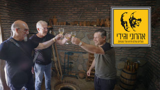 המסע המופלא של אהרוני וגידי, עונה 3, פרק 2: הולנד