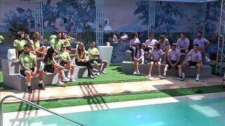 האח הגדול, עונה 8, פרק 28: ותיקים נגד חדשים