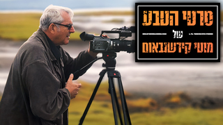 אריה לבן - יבשת שחורה