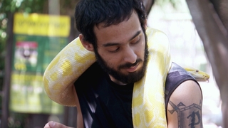 אבודים, עונה 11, פרק 7: המסע של תומר