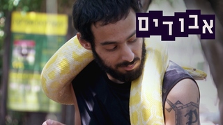 אבודים, עונה 11, פרק 7: המסע של תומר