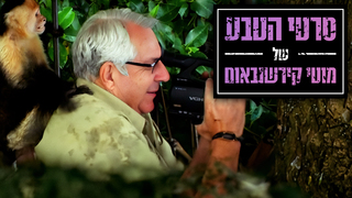 אחד ממאה שורד - הצבים הגדולים של קוסטה ריקה