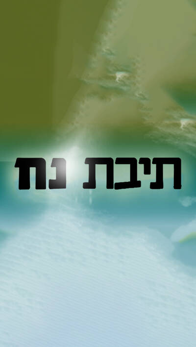תיבת נח