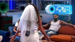 האח הגדול, עונה 8, פרק 45: משימת ההתעלמות