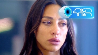 האח הגדול, עונה 7, פרק 43: משדר הדחה