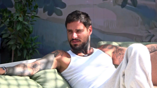 האח הגדול, עונה 8, פרק 29: אלירן החדש!