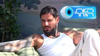 האח הגדול, עונה 8, פרק 29: אלירן החדש!